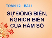 Sự đồng biến, nghịch biến của hàm số và bài tập - Toán 12...